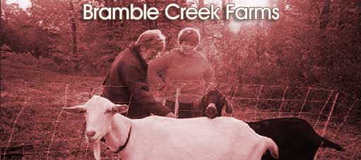 Outdoor Education at Bramble Creek Farms